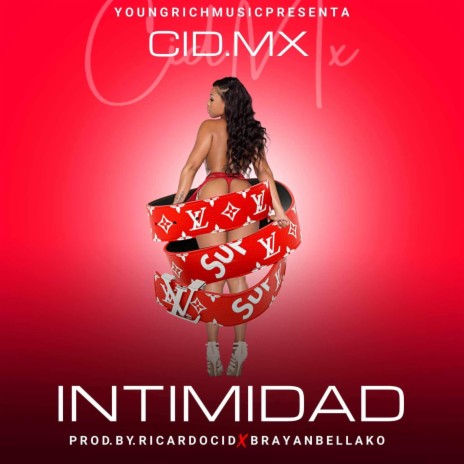 INTIMIDAD (Brayan Vr Remix) ft. Brayan Vr | Boomplay Music