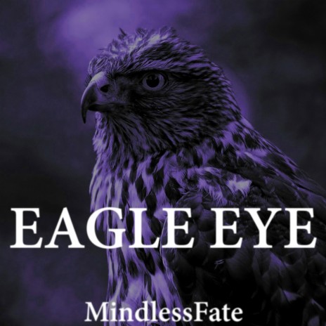 Eagle Eye | Boomplay Music