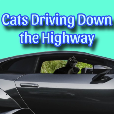 Cats Driving Down the Highway | Boomplay Music