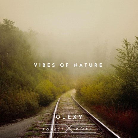 Vibes of Nature ft. Olexy | Boomplay Music