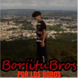 borjitubros