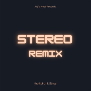 Stereo (Remix)