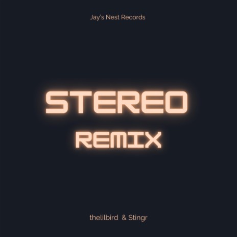Stereo (Remix) ft. Stingr