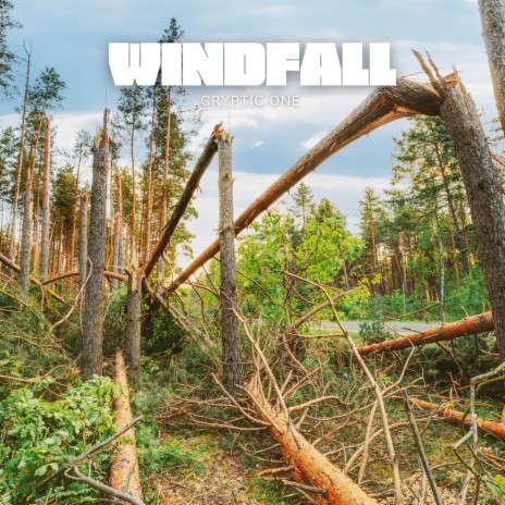 Windfall