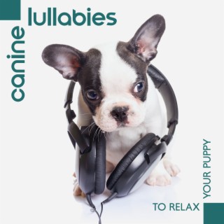 Canine Lullabies to Relax Your Puppy - Help Dog when Tay Stay at Home Alone