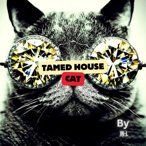 Tamed House Cat | Boomplay Music