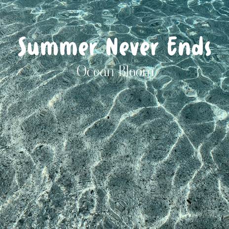 Summer Never Ends | Boomplay Music