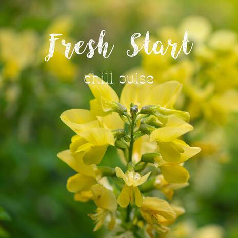 Fresh Start | Boomplay Music