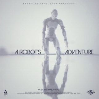 A Robot's Adventure