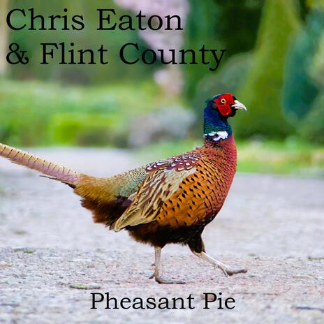 Pheasant Pie | Boomplay Music