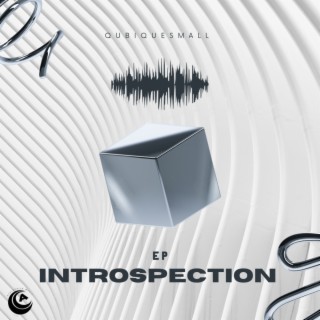 Introspection Ep