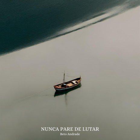 Nunca Pare de Lutar | Boomplay Music