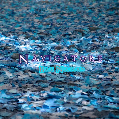 Navigatore | Boomplay Music