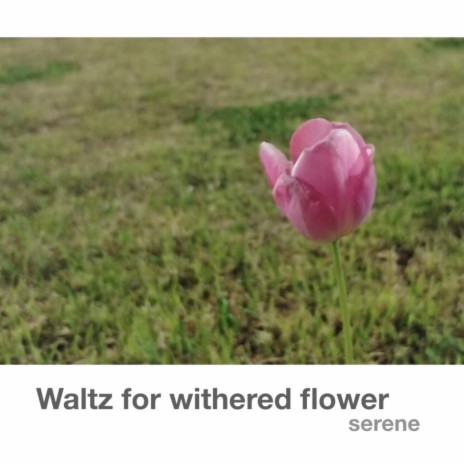 Waltz for withered flower