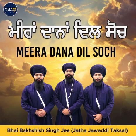 Meera Dana Dil Soch | Boomplay Music