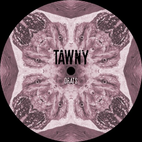 TAWNY | Boomplay Music