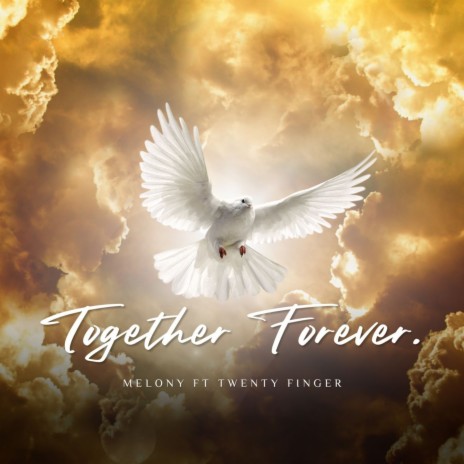 Together Forever (feat. Twenty Fingers | Boomplay Music