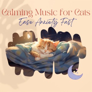 Cat anxiety hot sale music