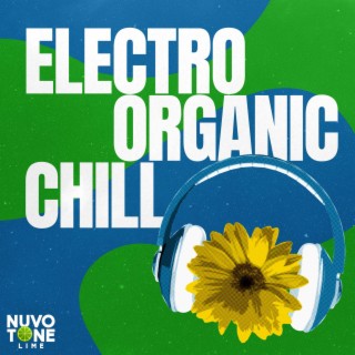 Electro-Organic Chill