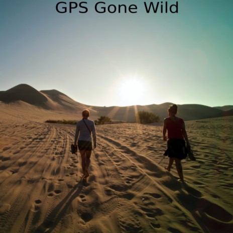 GPS Gone Wild | Boomplay Music