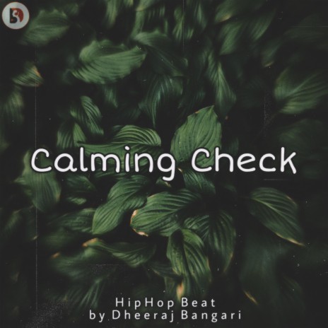 Calming Check (HipHop Beat)