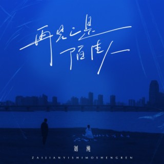 再见已是陌路人 lyrics | Boomplay Music