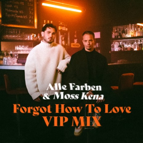 Forgot How to Love (VIP Mix) ft. Moss Kena | Boomplay Music