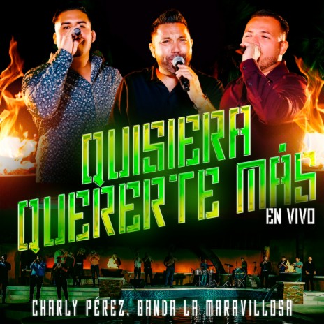 Quisiera Quererte Más (En Vivo) ft. Banda La Maravillosa | Boomplay Music