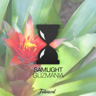 Guzmania