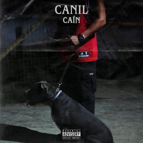 Canil | Boomplay Music