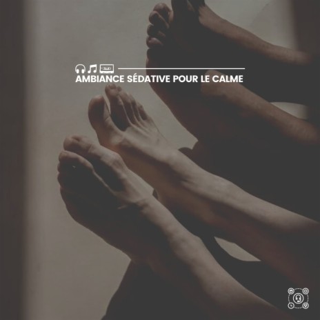 Chants d'oiseaux | Boomplay Music