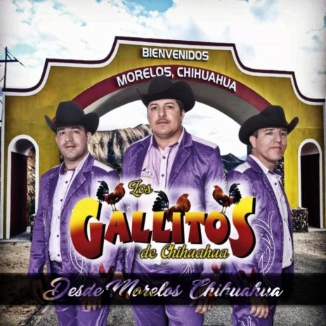 Polkas De Los Gallitos (En vivo)