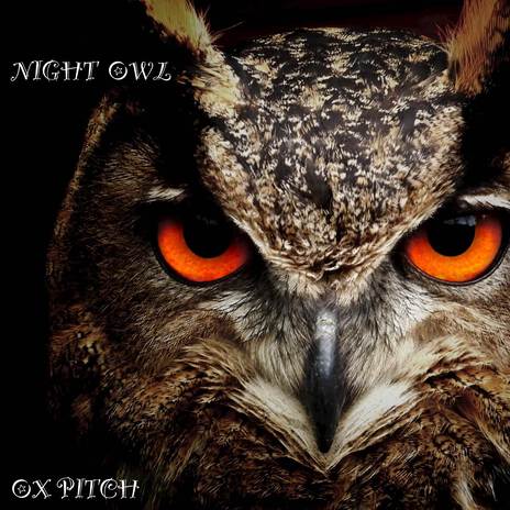 Night Owl | Boomplay Music