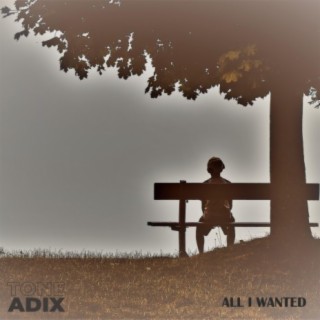 All I Wanted (Instrumental)