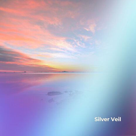 Silver Veil | Boomplay Music