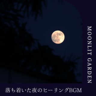 落ち着いた夜のヒーリングbgm