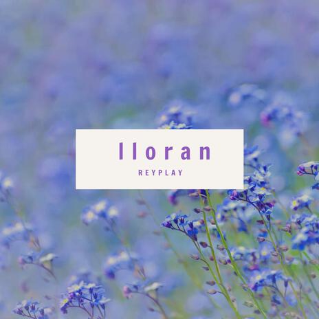 LLORAN | Boomplay Music