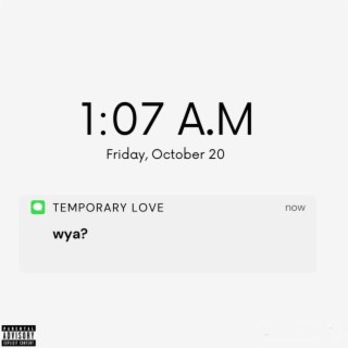 Temporary Love