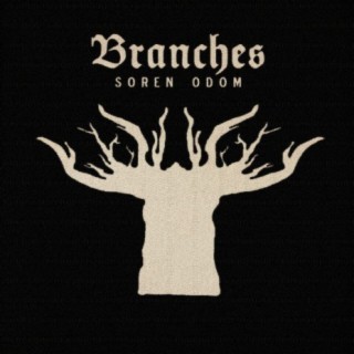 Branches