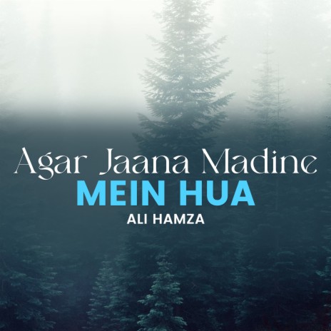 Agar Jaana Madine Mein Hua