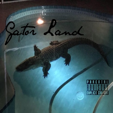 Gator Land | Boomplay Music