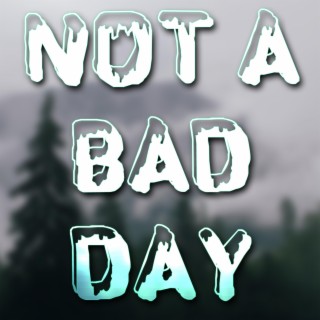 Not a Bad Day (feat. Kinox)