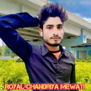 Royal chandriya MEWATI 2