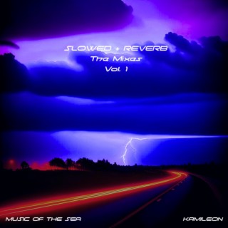 Slowed + Reverb: The Mixes, Vol. 1