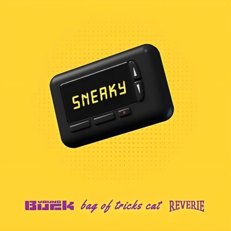 Sneaky (Instrumental) ft. Bag of Tricks Cat