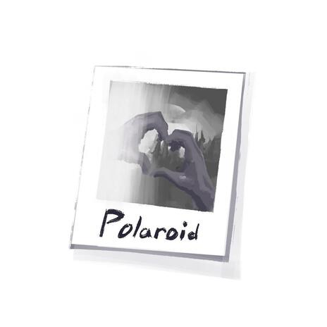 Polaroid | Boomplay Music