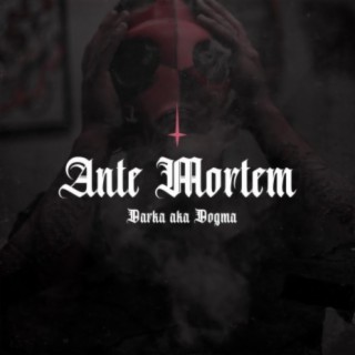 Ante Mortem