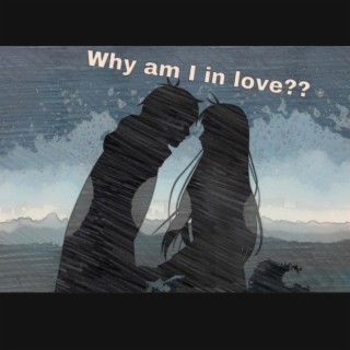 what is this love im feeling???? lyrics | Boomplay Music