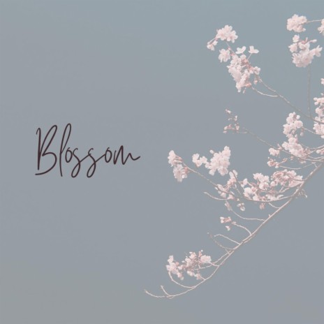 Blossom | Boomplay Music