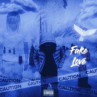 Fake Love